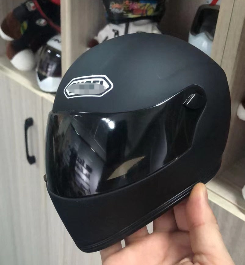 Pet Helmet